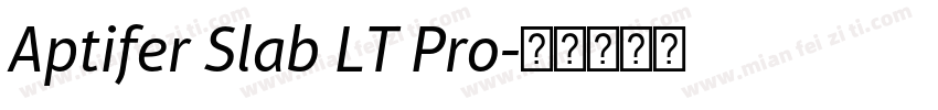 Aptifer Slab LT Pro字体转换